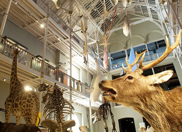National Museum of ScotlandEdinburgh School trip