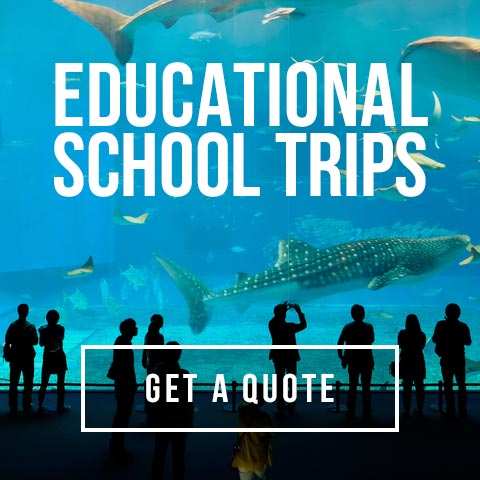 Groupia School Trips