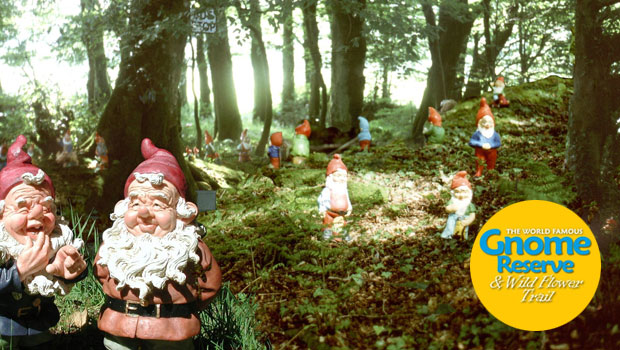 the gnome reserve